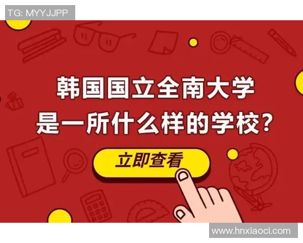 必一运动官方平台权威解读与使用指南全面解析